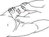 рис.23 (Продольное растяжение мышц)